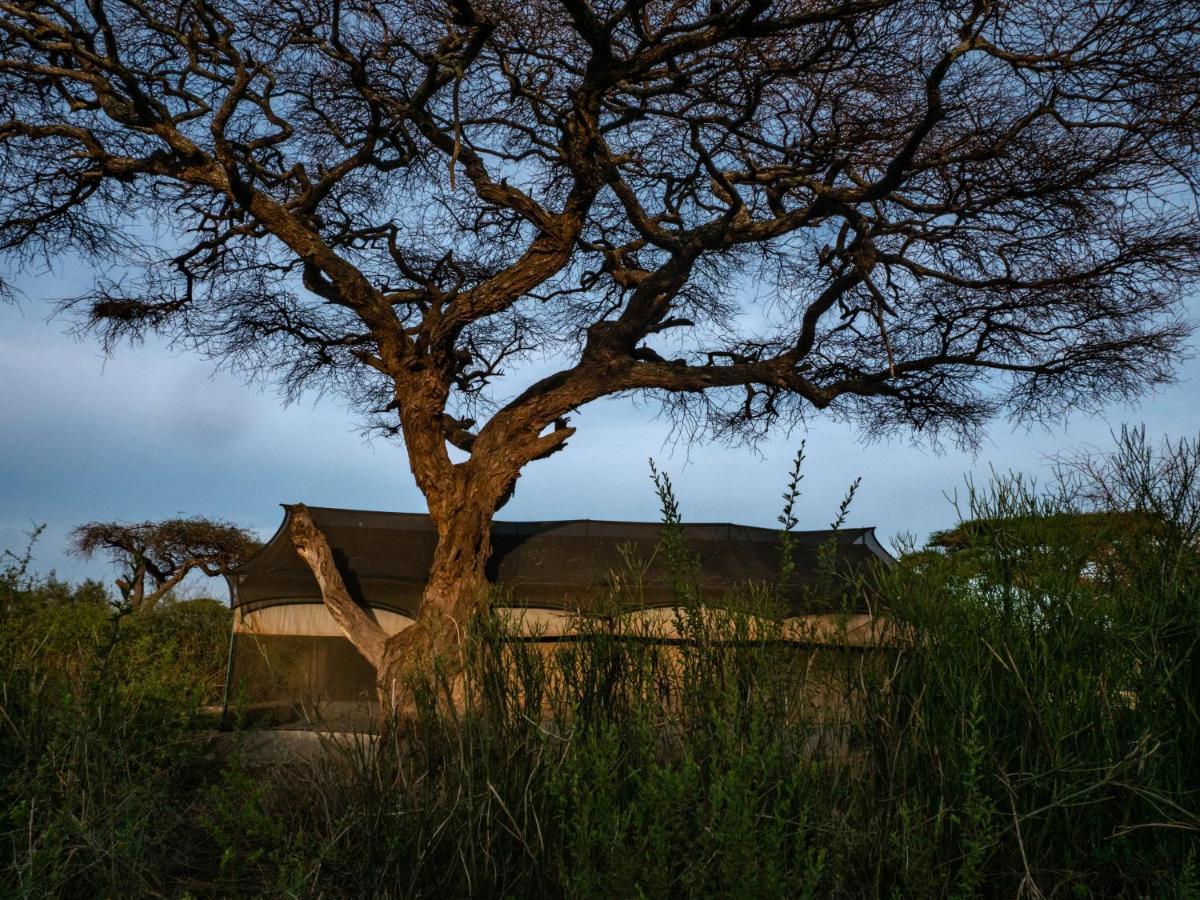 فندق Tulia Amboseli Safari Camp المظهر الخارجي الصورة