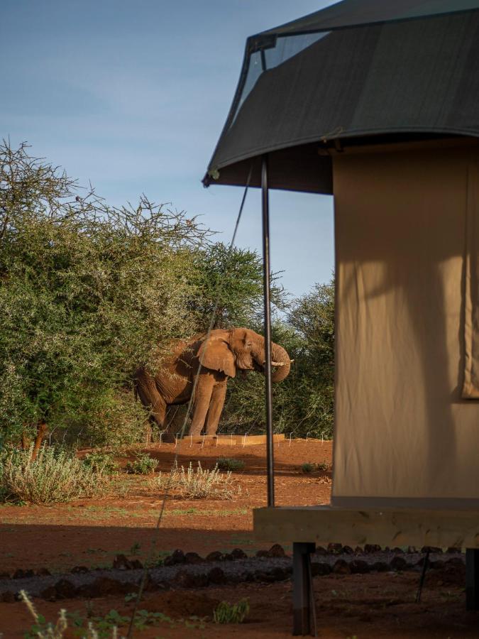 فندق Tulia Amboseli Safari Camp المظهر الخارجي الصورة
